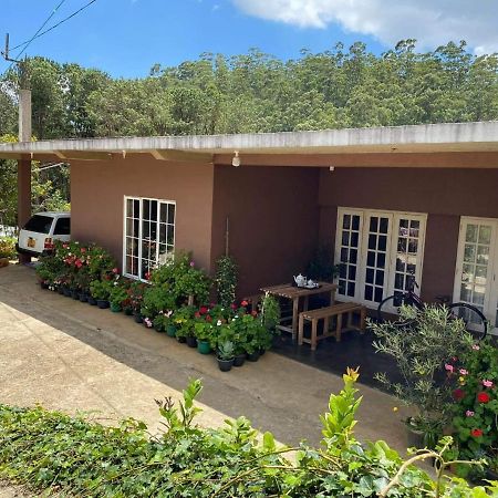 Keshiya Holiday Home Νουβάρα Ελίγια Εξωτερικό φωτογραφία